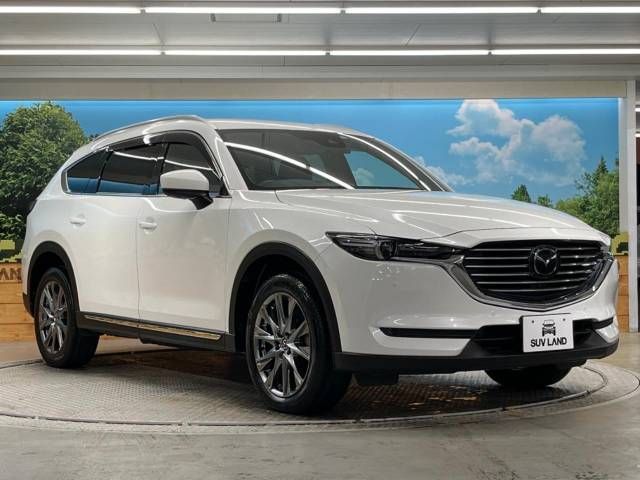 Mazda CX-8 2019-04 183134-16