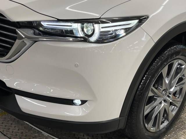 Mazda CX-8 2019-04 183134-12