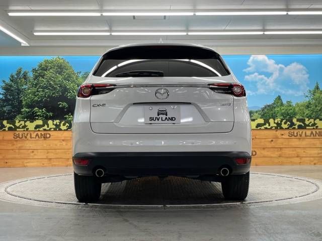 Mazda CX-8 2019-04 183134-15