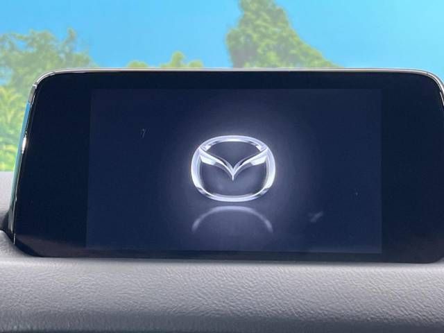 Mazda CX-8 2019-04 183134-2