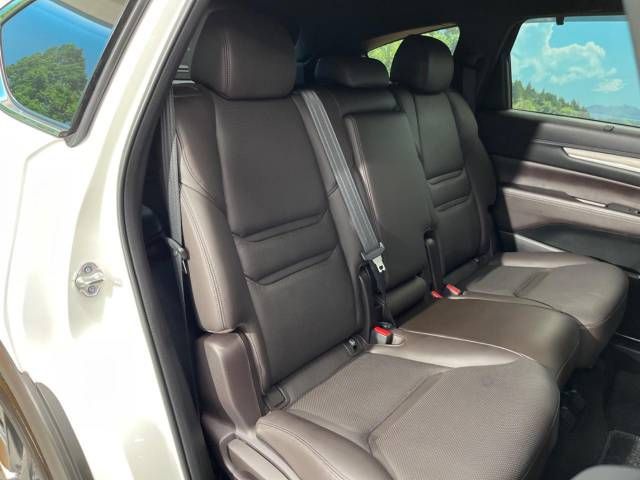 Mazda CX-8 2019-04 183134-8