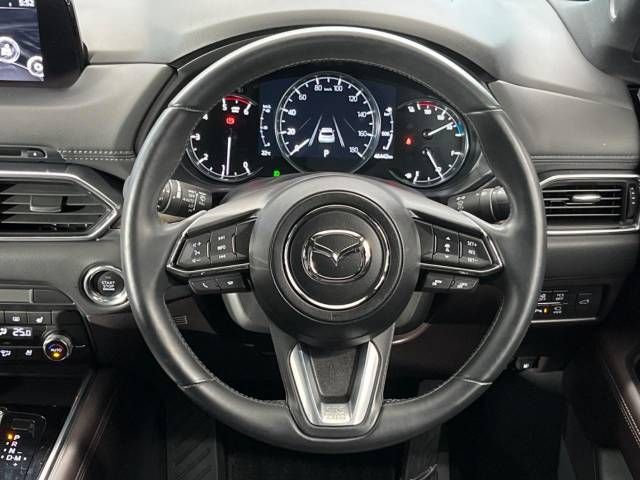 Mazda CX-8 2019-04 183134-11