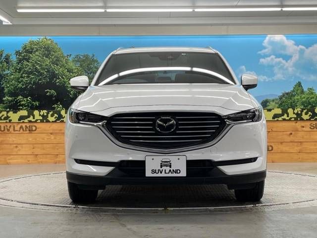 Mazda CX-8 2019-04 183134-14