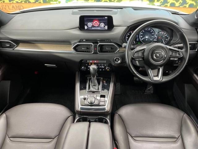 Mazda CX-8 2019-04 183134-1