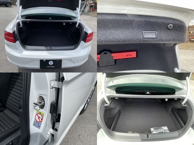 VolksWagen PASSAT 2020-12 12119-2