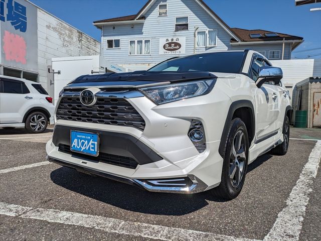 Toyota RAV4 2019-05 8265-0