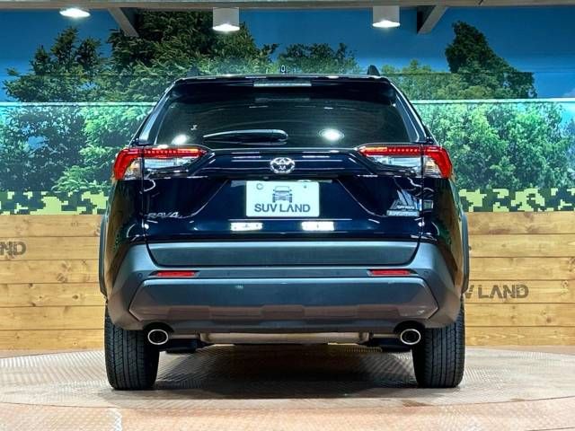 Toyota RAV4 2022-02 195589-15