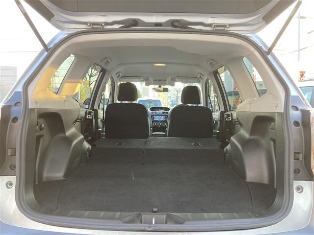 Subaru FORESTER 2017-03 2496-25