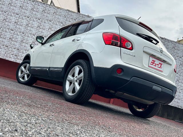 Nissan DUALIS 2011-09 196240-17