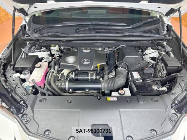 Lexus NX 2019-06 354325-18