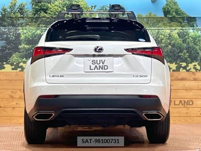 Lexus NX 2019-06 354325-15