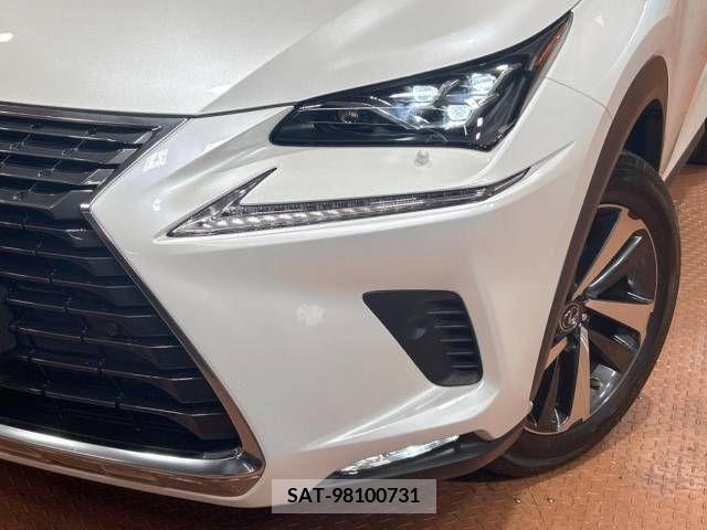 Lexus NX 2019-06 354325-12