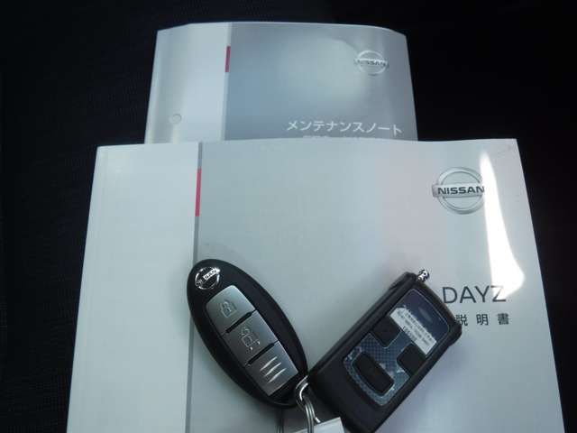 Nissan DAYZ 2019-09 20593-13
