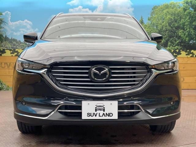 Mazda CX-8 2018-09 184589-15