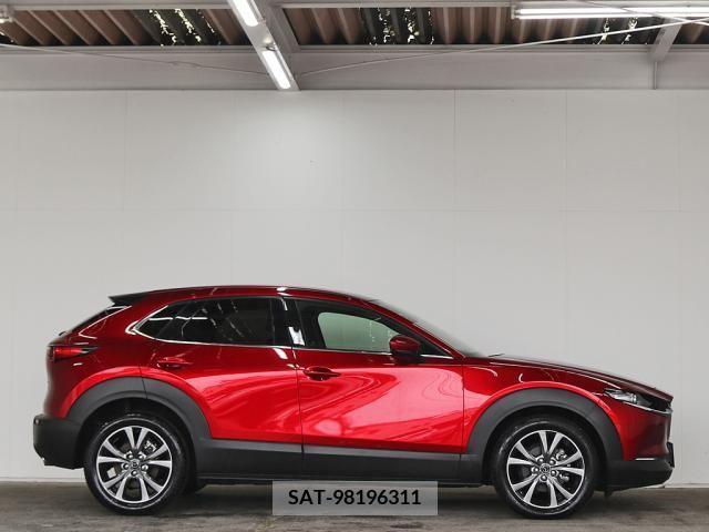 Mazda CX-30 2020-11 209349-4