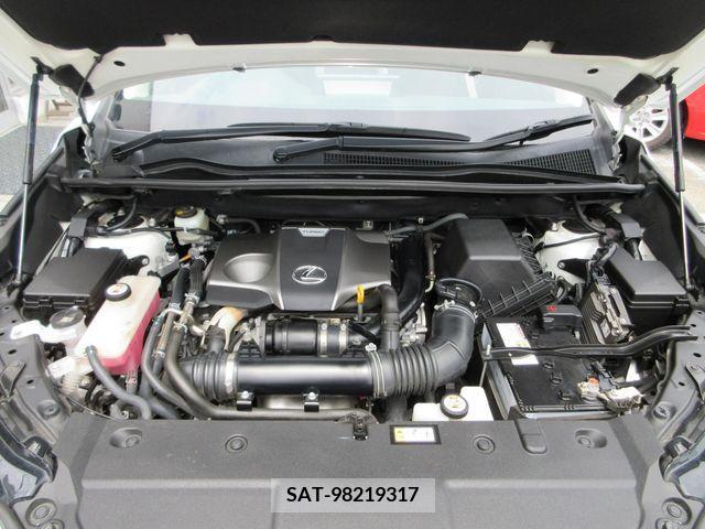 Lexus NX 2019-01 353944-28