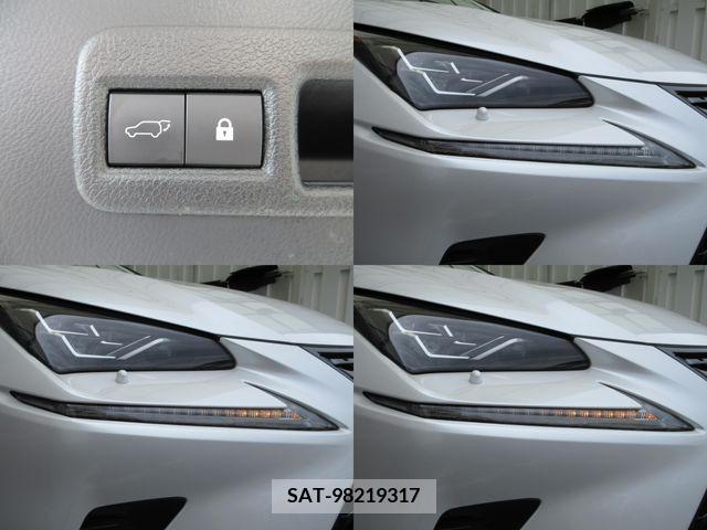Lexus NX 2019-01 353944-21