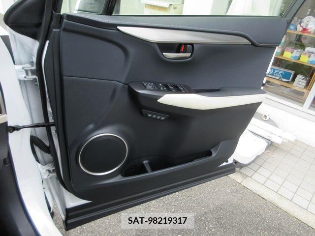 Lexus NX 2019-01 353944-20