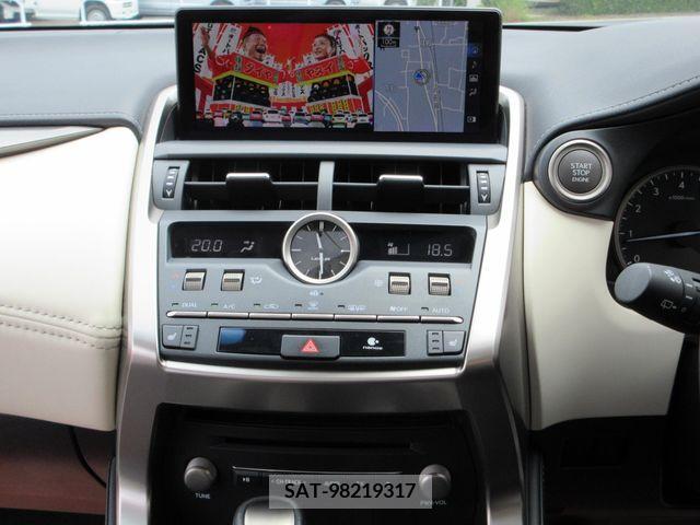 Lexus NX 2019-01 353944-14