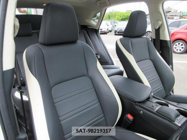 Lexus NX 2019-01 353944-11