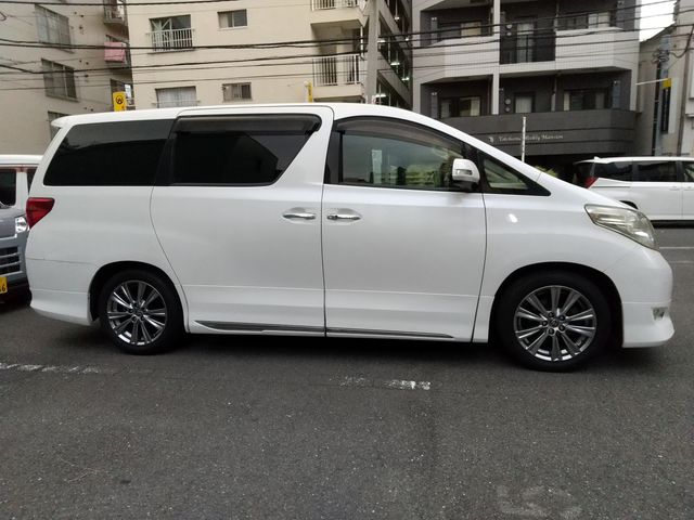 Toyota ALPHARD 2008-11 9262-3