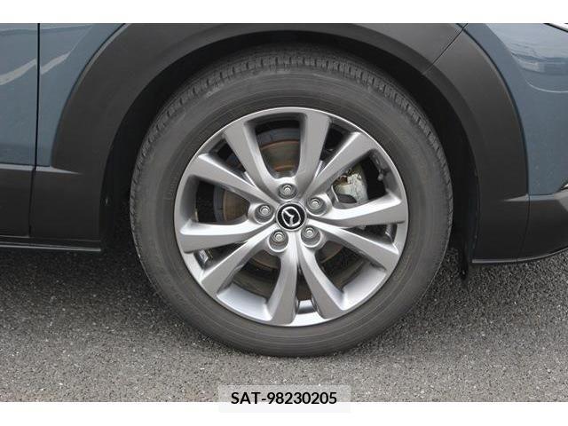 Mazda CX-30 2019-11 236764-9