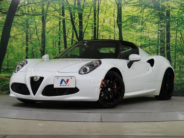 ALFA ROMEO 4C 2017-01 182926-6