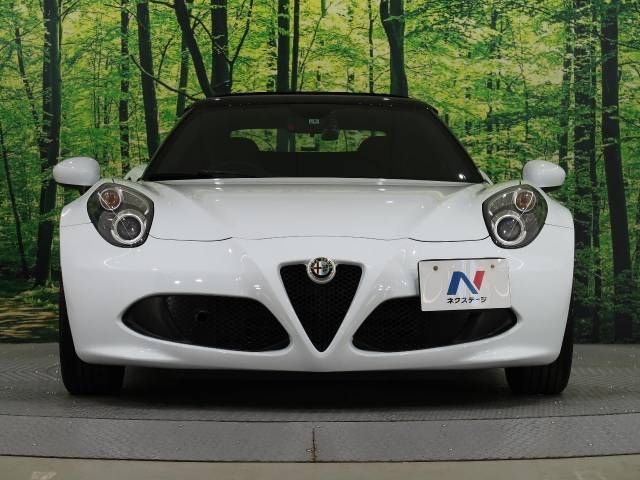 ALFA ROMEO 4C 2017-01 182926-1