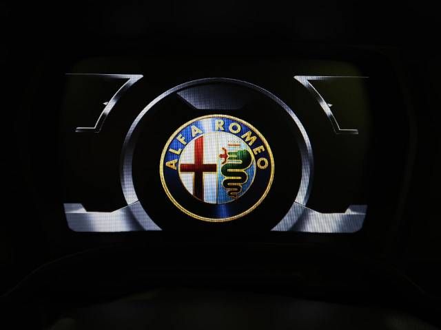 ALFA ROMEO 4C 2017-01 182926-9