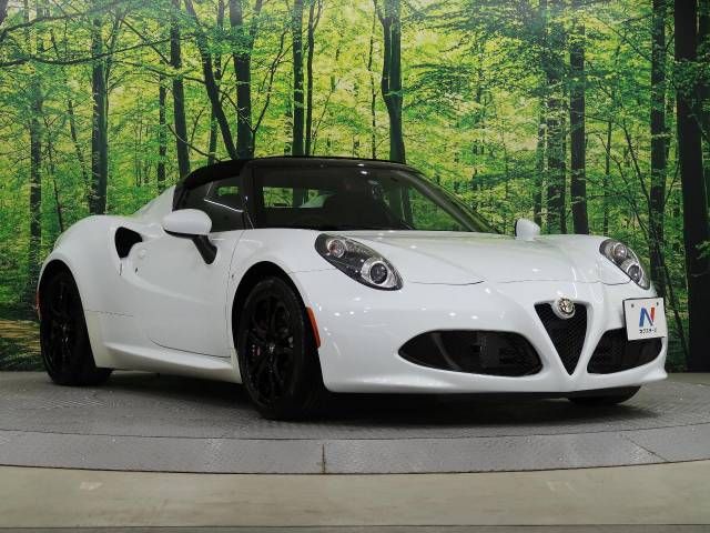 ALFA ROMEO 4C 2017-01 182926-5
