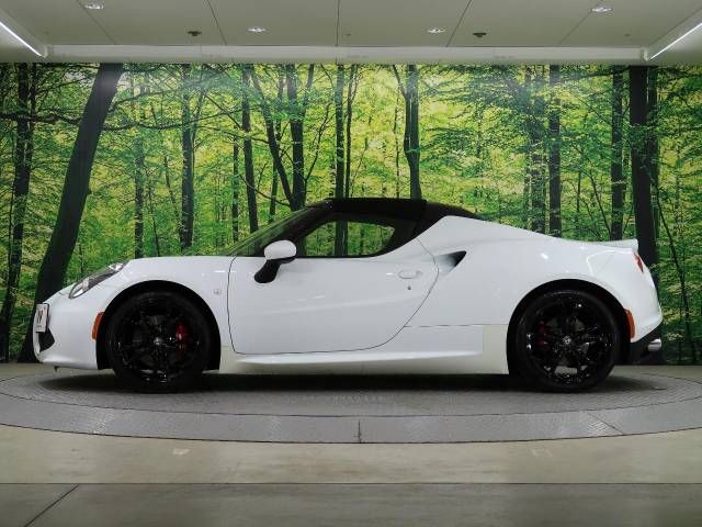 ALFA ROMEO 4C 2017-01 182926-4