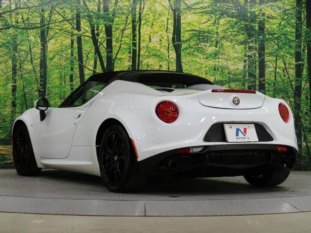 ALFA ROMEO 4C 2017-01 182926-8