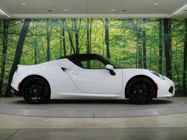 ALFA ROMEO 4C 2017-01 182926-3