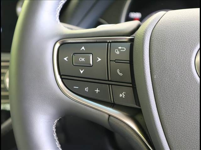 Lexus LS 2021-03 20046-9