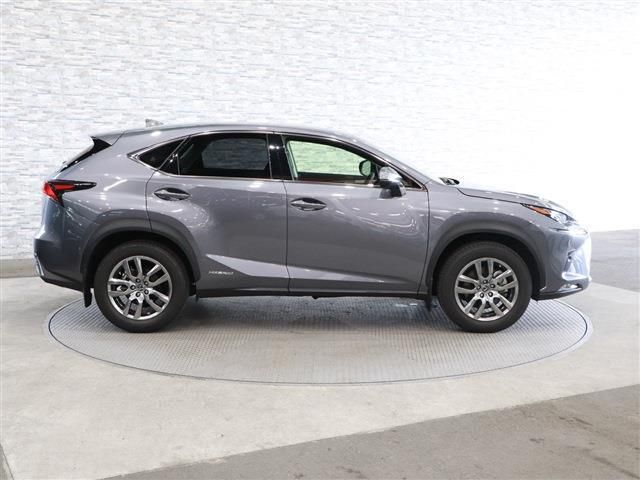 Lexus NX 2018-11 17491-6