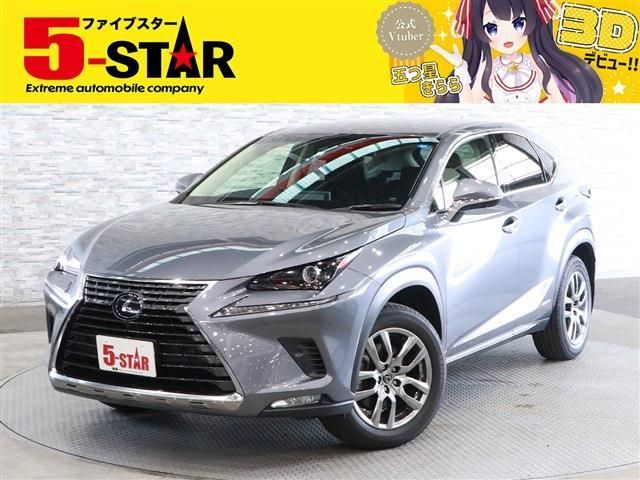 Lexus NX 2018-11 17491-0