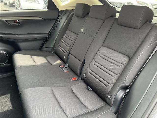 Lexus NX 2018-11 17491-19
