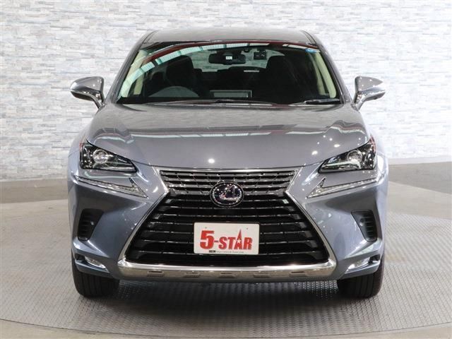 Lexus NX 2018-11 17491-5