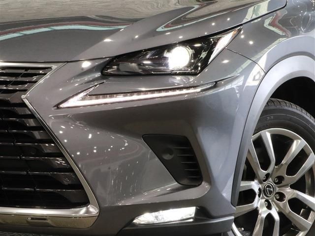 Lexus NX 2018-11 17491-8