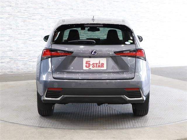 Lexus NX 2018-11 17491-7