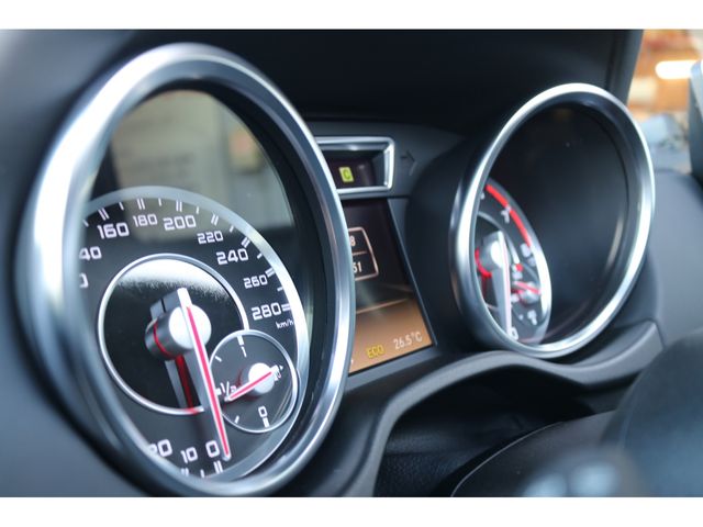 Amg G-CLASS 2014-05 9477-19