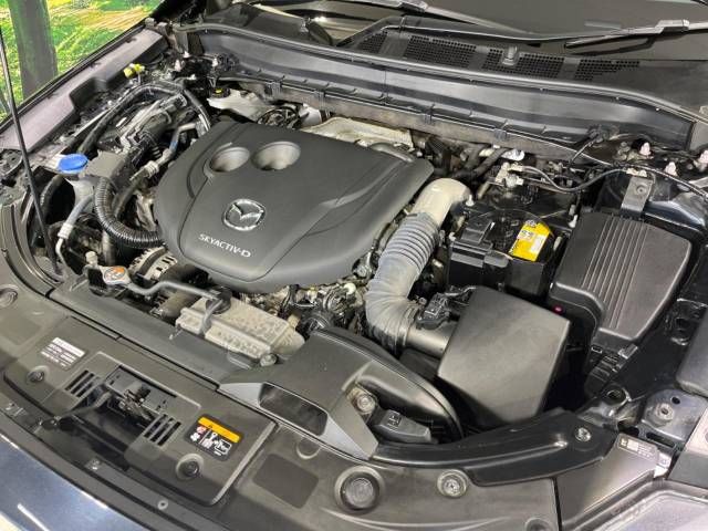 Mazda CX-8 2022-02 17728-18