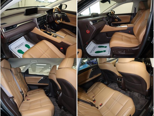 Lexus RX 2018-07 191834-23