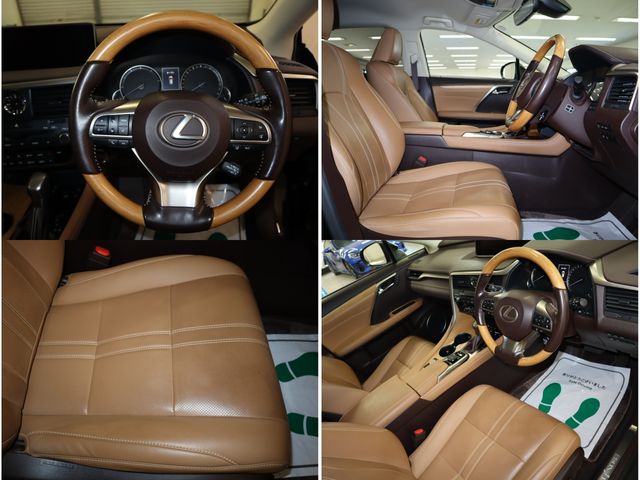 Lexus RX 2018-07 191834-22