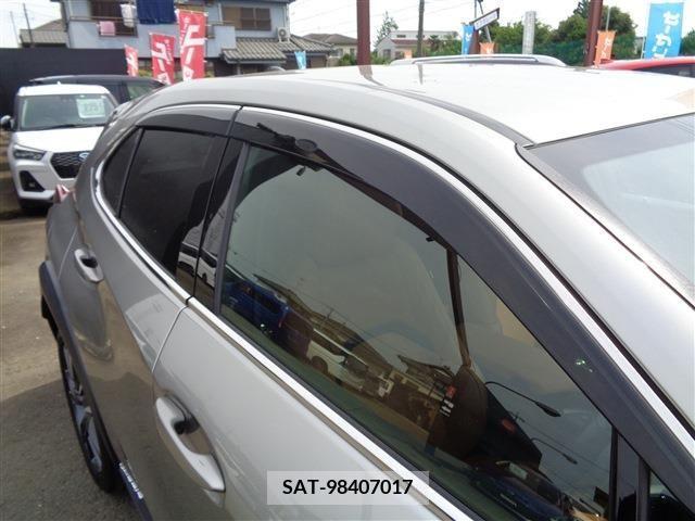 Lexus UX 2021-08 334361-7