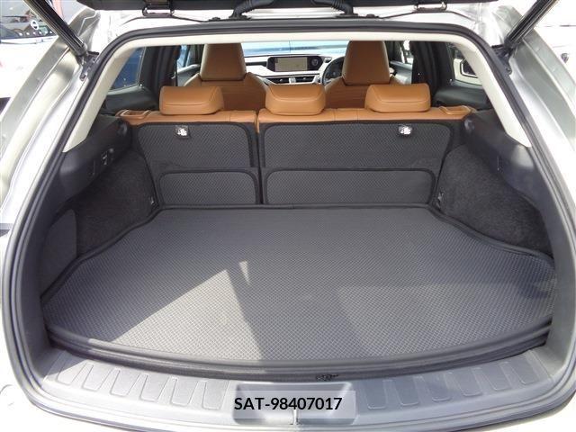 Lexus UX 2021-08 334361-12