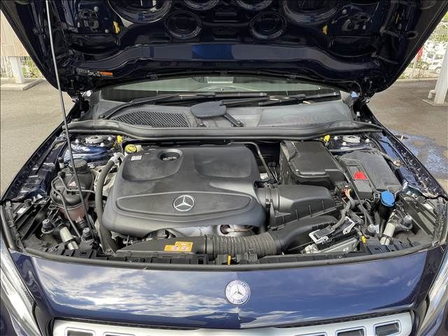 Mercedes Benz GLA-CLASS 2017-04 11487-19