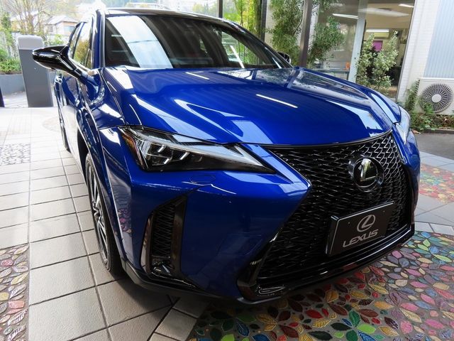 Lexus UX 2023-05 16879-5