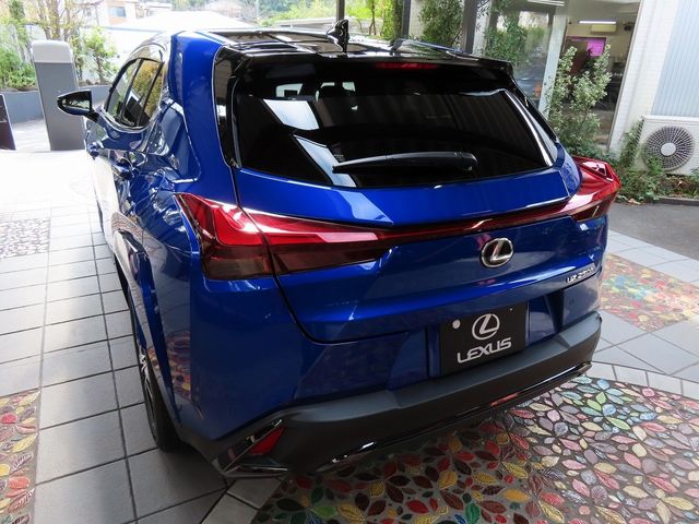 Lexus UX 2023-05 16879-7