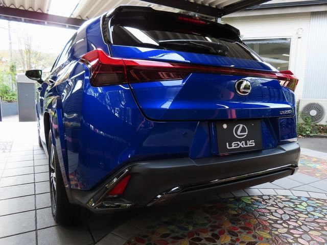 Lexus UX 2023-05 16879-1